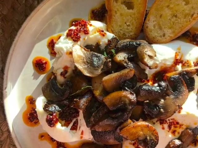 Burrata mushroom chili oil crostini
