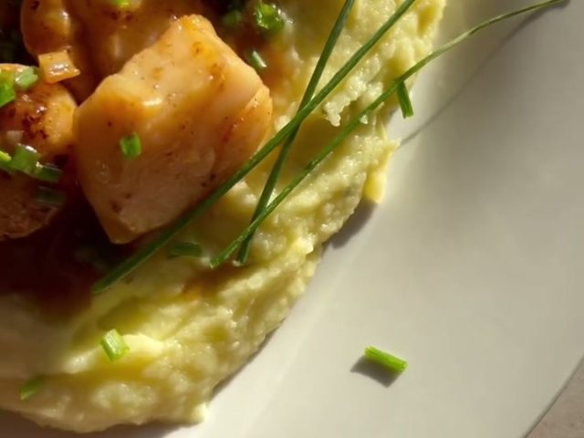 Seared scallops with Parsnip purée