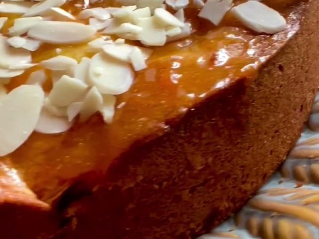 Aprikosenkuchen ~ German apricot cake