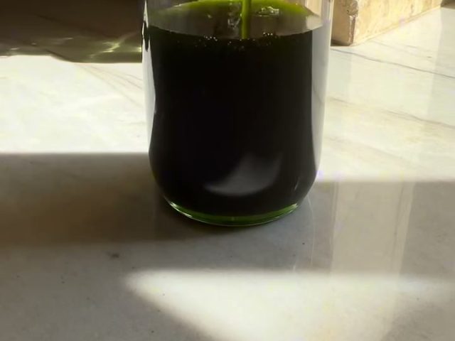Basil Oil