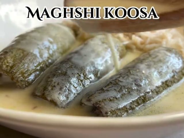 Maghshi Koosa (Stuffed Squash with Yogurt Sauce)